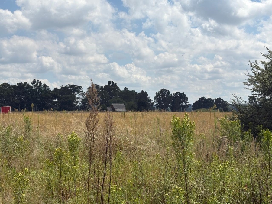 0 Bedroom Property for Sale in Vaalpark Free State